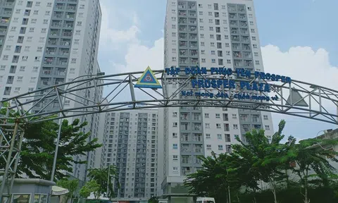 Những dự án bất động sản của "bà trùm" buôn lậu than vừa bị khởi tố