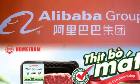 Quỹ đầu tư do Alibaba hậu thuẫn "rót" triệu đô vào chuỗi bán lẻ thực phẩm Homefarm