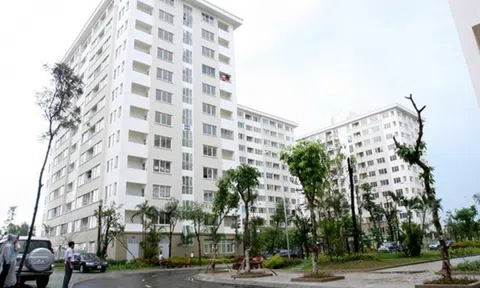 Apec Group: Rủi ro trái phiếu cùng lùm xùm sai phạm dự án vẫn muốn đầu tư 6.000 tỷ đồng làm nhà ở xã hội 5 sao ở Hải Phòng