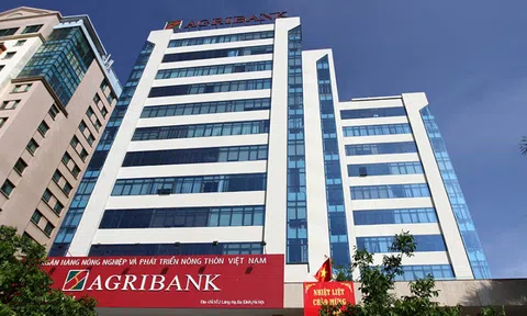 Rao bán hai lô đất của Cửu Long Phát, Agribank đại hạ giá một nửa