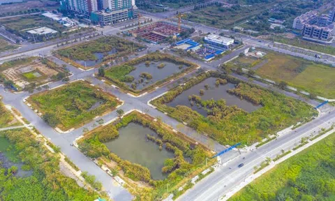 Tân Hoàng Minh đấu giá đất 2,4 tỷ/m2: Căn hộ chung cư giá sẽ trên 40 tỷ đồng
