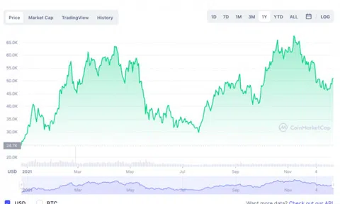 Chuyên gia: 'Vẫn trồi sụt nhưng Bitcoin có thể lập đỉnh mới năm 2022'