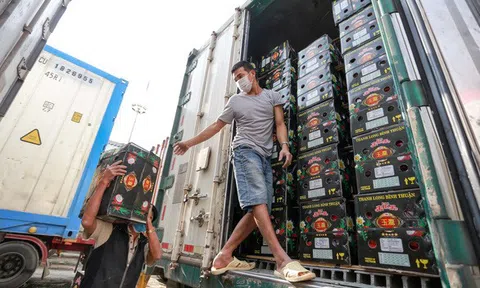 Hiệp định thương mại lớn nhất thế giới có hiệu lực, cơ hội khai mở thị trường 26.200 tỉ USD