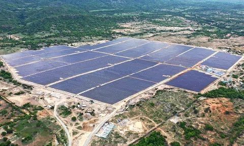 1.000 tỷ đồng đổ về mảng năng lượng của TNG Holdings