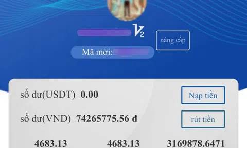 Mất 3.000 USD vì web giả mạo Liên minh Blockchain Việt Nam