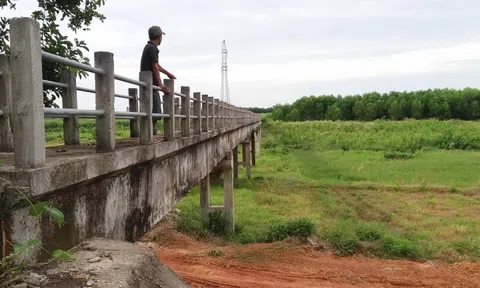 Sau cơn sốt, giới đầu tư ‘ôm đất’ thành ôm ‘bom’