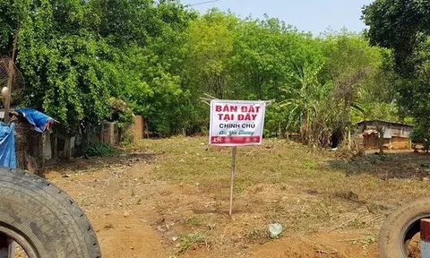Tan tành giấc mộng làm giàu từ đất nông thôn