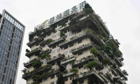 Từ Country Garden tới China Evergrande, cuộc khủng hoảng bất động sản tại Trung Quốc đang diễn ra như thế nào?