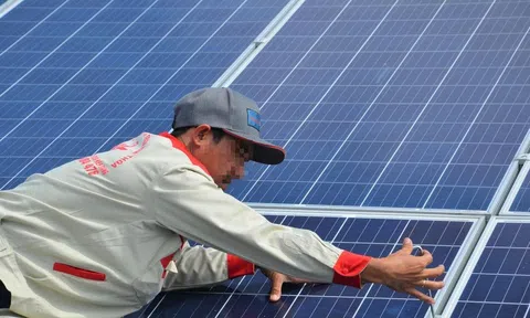 Loạt dự án điện mặt trời mái nhà 'núp bóng' trang trại có nguy cơ bị ngừng thanh toán tiền điện