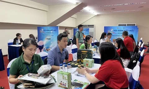 2.000 doanh nghiệp tham gia Hội nghị kết nối cung cầu với TP HCM năm 2024