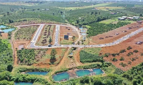 Theo đám đông, nổi máu làm giàu, nhiều nhà đầu tư rút hầu bao mua đất ngoại ô tính làm farmstay, giờ quay sang quyết bán "cắt lỗ"