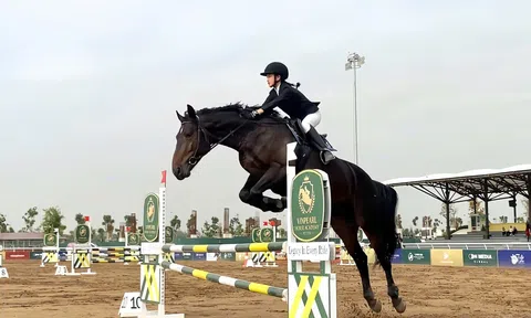Vinpearl Equestrian Cup 2025: Bước đột phá của thể thao cưỡi ngựa Việt Nam