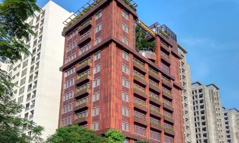 Viên nang Kovir: Dấu hiệu trục lợi bất chính, Bộ Y tế từng cảnh báo vì quảng cáo ‘quá đà’