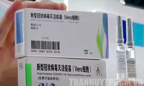 Bộ Y tế đồng ý TP.HCM sử dụng 1 triệu liều vắc xin Vero Cell