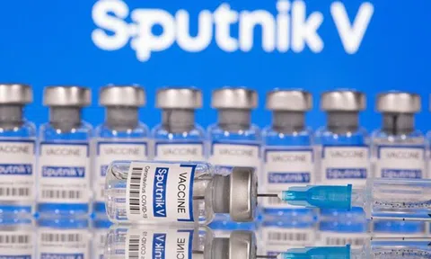 Từ việc Vimedimex trần 9 phiên sau tin nhập vaccine: Chân dung bộ tứ thống lĩnh mảng nhập khẩu thuốc với tổng doanh thu 3 tỷ USD nhưng lãi rất thấp