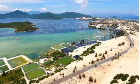 Sun Group và IPPG cùng đề xuất quy hoạch và đầu tư vào Khu kinh tế Vân Phong