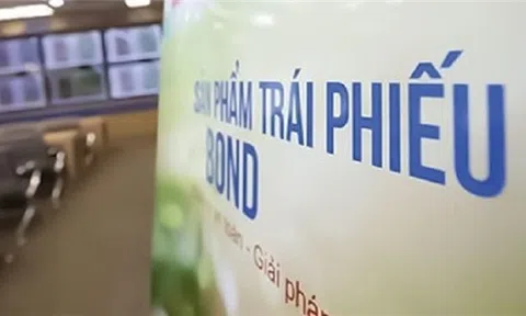 Thủ tướng yêu cầu thanh tra việc phát hành trái phiếu doanh nghiệp