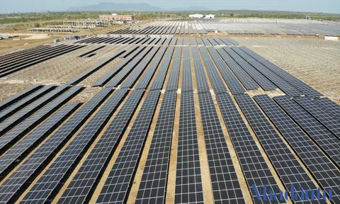 Chủ đầu tư loạt dự án điện mặt trời ở Gia Lai 'dọa' kiện các công ty điện lực