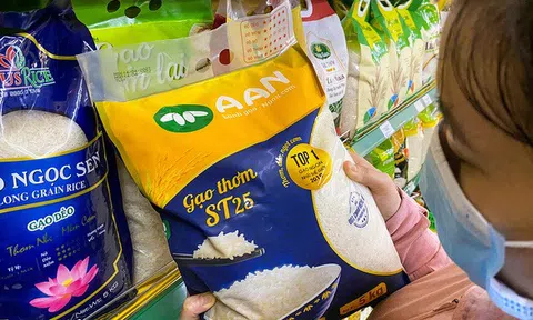 EU thu hồi hoặc cảnh báo nhiều sản phẩm nông sản và thủy sản Việt Nam