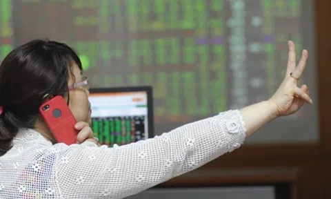 Hàng loạt ETF sắp tái cơ cấu danh mục: Cổ phiếu nào hưởng lợi?