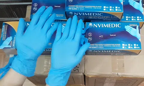 Găng tay Nam Việt bị BIDV siết nợ hơn 1.000 tỷ đồng làm ăn ra sao?