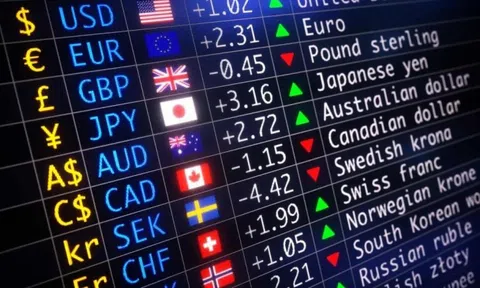 Mất 4 tỷ đồng trong 3 năm vì chơi Forex