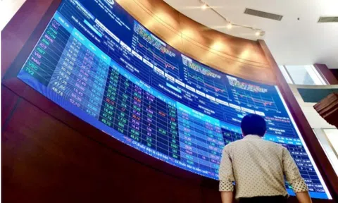 Dừng cung cấp thông tin giao dịch tự doanh: HoSE chính thức lên tiếng