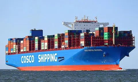 Vụ lừa đảo lớn nhất lịch sử ngành điều: Ai chịu trách nhiệm?