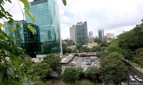 TP.HCM kỷ luật 7 đảng viên liên quan 4 vụ án diện Trung ương theo dõi