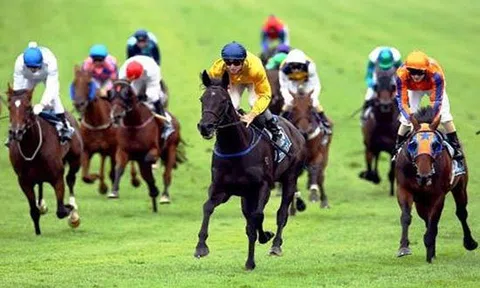 Hà Nội xin gỡ vướng cho dự án trường đua ngựa triệu USD ở Sóc Sơn