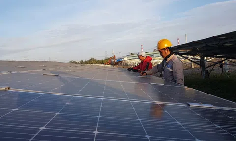 Nóng: Thu hồi văn bản đề xuất EVN hạ giá mua điện tái tạo đã hòa lưới