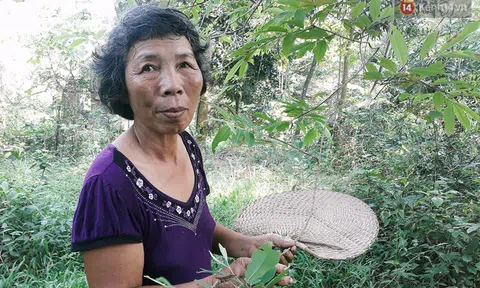 Cô giáo về hưu 15 năm sống trên ốc đảo ở Vĩnh Phúc: Không ra chợ, không biết bệnh tật và không cần đến tiền!