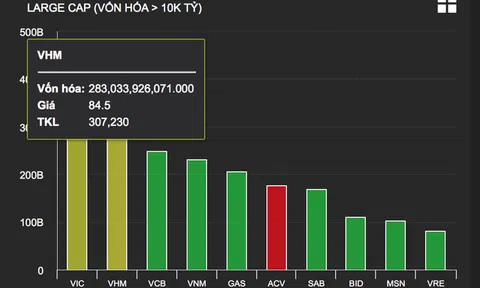 “Sốt” bất động sản: Choáng với mục tiêu doanh thu 3,3 tỷ USD của Vinhomes