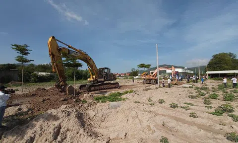 Ai giúp CEO Alibaba Nguyễn Thái Luyện "phù phép" đất nông nghiệp?