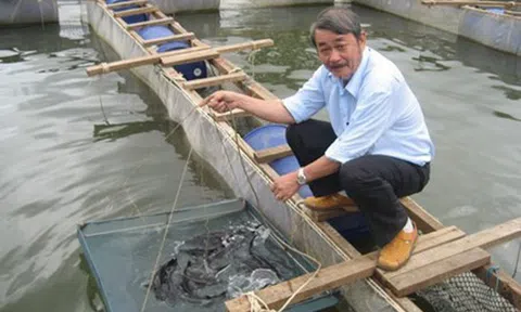 Sự tái xuất của những đại gia từng lĩnh án tử hình