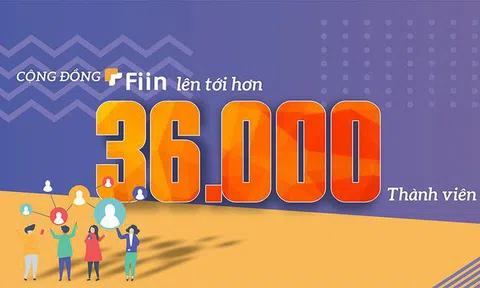 Đầu tư an toàn - phong cách của các 'shark' văn phòng