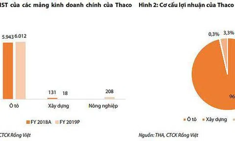 Tham vọng của tỷ phú giàu bậc nhất, chỉ sau ông Phạm Nhật Vượng