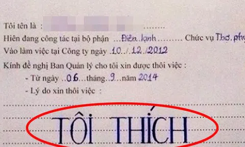 CEO TopCV: Chuyên nghiệp đến từ sự tử tế, hãy nghỉ việc sao cho tử tế!