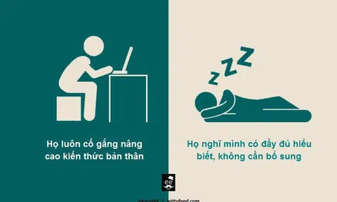 Thước đo khả năng thành công: IQ cao hay thấp không quan trọng bằng việc bạn có 'tư duy cố định' hay 'tư duy tăng trưởng'!