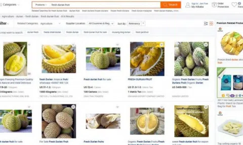 Bán hết 80.000 quả sầu riêng trong 1 phút, tỷ phú Jack Ma được chính phủ Thái cảm ơn hết lời