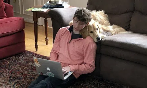 Kiếm được cả trăm nghìn USD/năm nhờ nghề đánh gía chó online