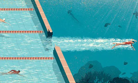 Nếu bạn đang không biết phải làm gì với cuộc đời mình trong 3 năm tới, hãy đọc những chiến lược này