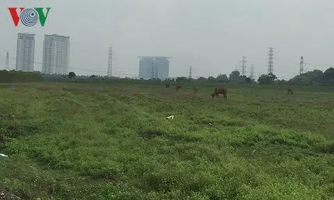 Sốt ảo đẩy giá đất ở Bình Dương tăng tới 400%, nguy cơ vỡ bong bóng