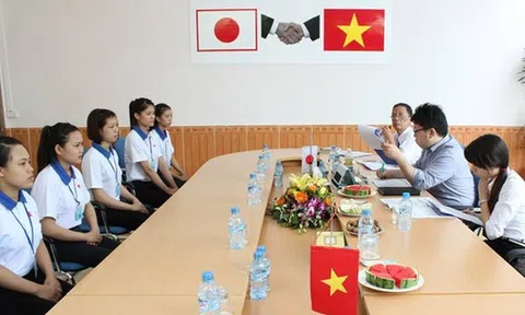 Cẩm nang làm việc trong công ty Nhật: Tăng lương hàng năm 5-10%, thưởng Tết 1 tháng lương, không bao giờ có chuyện trả lương cao ngất để mời người giỏi!