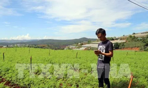 Nông dân trẻ làm vườn bằng... điện thoại thông minh