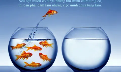 Chuyện cuối tuần: Tuyệt chiêu "Làm tốt lắm!"