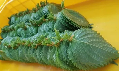 Những nông sản Việt có giá cao ngất ở nước ngoài