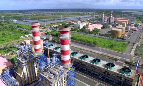 Mỗi sếp PV Power nhận lương hơn 750 triệu đồng nửa cuối 2018