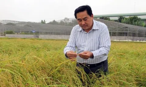 Nông sản Việt là cô gái đẹp: Thật không?