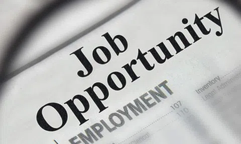 Lương cao và gần nhà - bạn định nghĩa đó là công việc trong mơ? Cái lợi nhỏ trước mắt dễ làm sụp đổ tiền đồ của bạn!